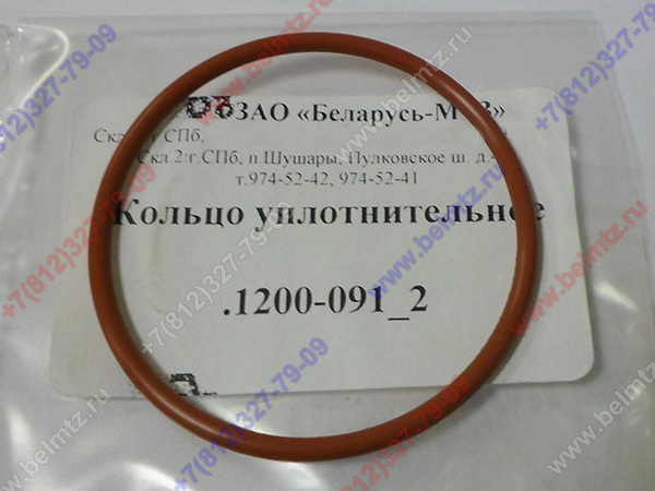 LOMBARDINI 1200.091 Кольцо уплотнительное 104.1200.091