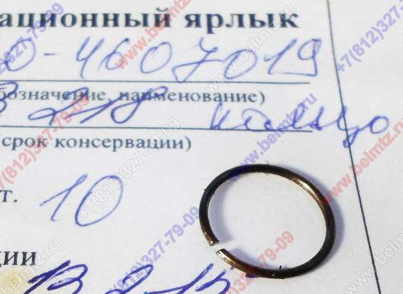 220-4607019 Кольцо стопорное