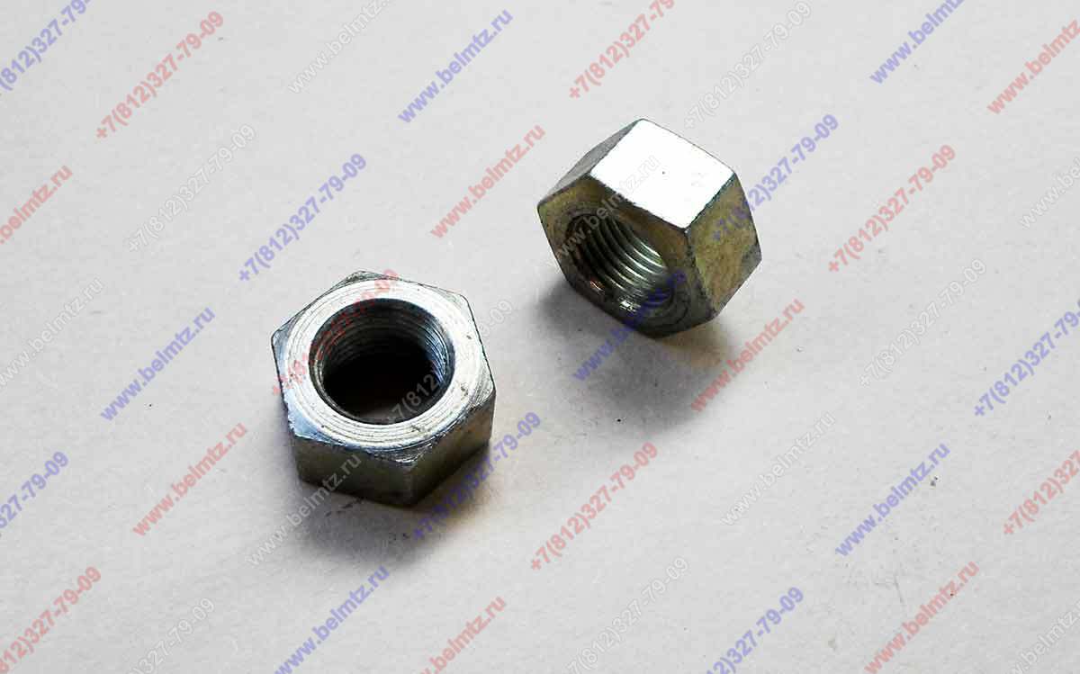 1221-3101013 Гайка