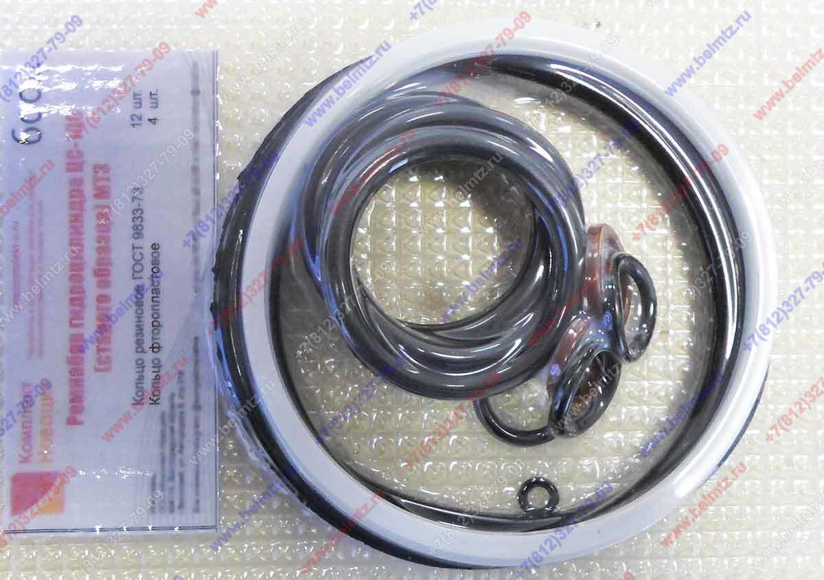 Ремкомплект МТЗ ЦС-100 старого образца КН-6004