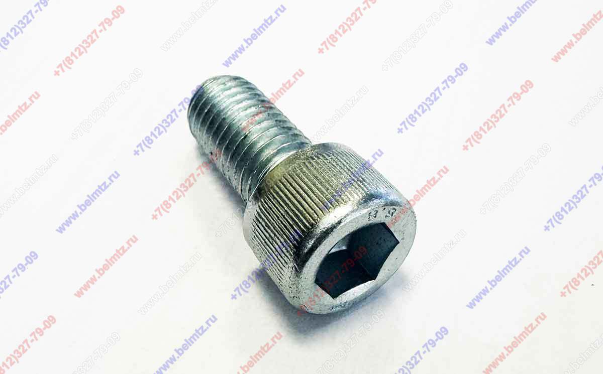 Винт М12-8gх25.88 DIN 912